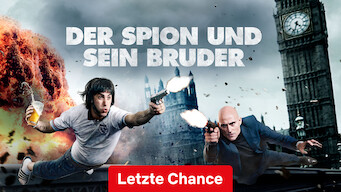 Der Spion und sein Bruder (2016)