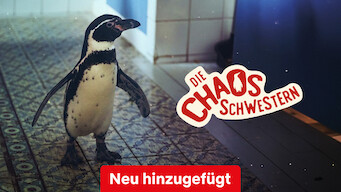 Die Chaosschwestern und Pinguin Paul (2024)