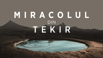 Miracolul din Tekir (2015)