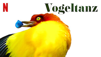 Vogeltanz (2019)